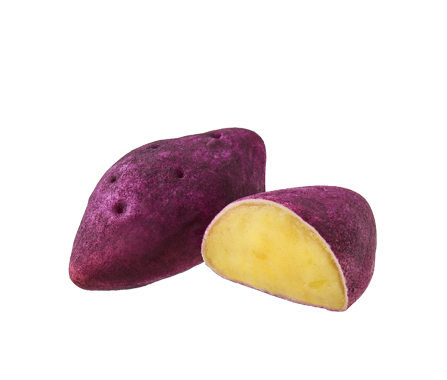 서브푸드 이미지41