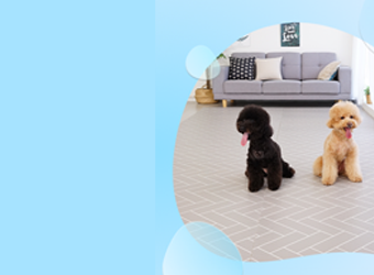 메인배너 이미지01