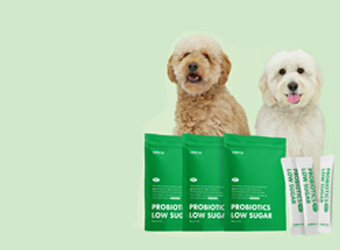 메인배너 이미지01