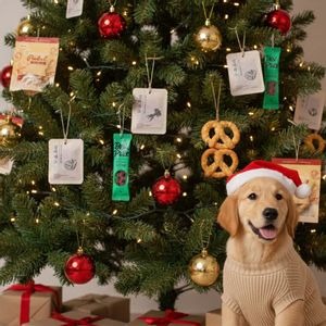 신상품이미지01