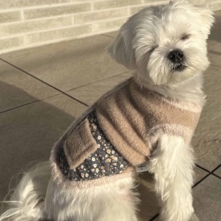 신상품이미지01