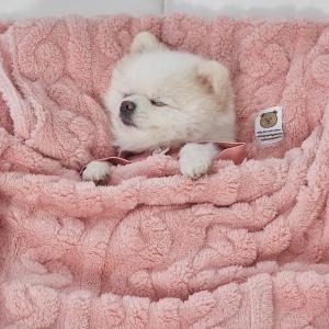 시즌 상품이미지02