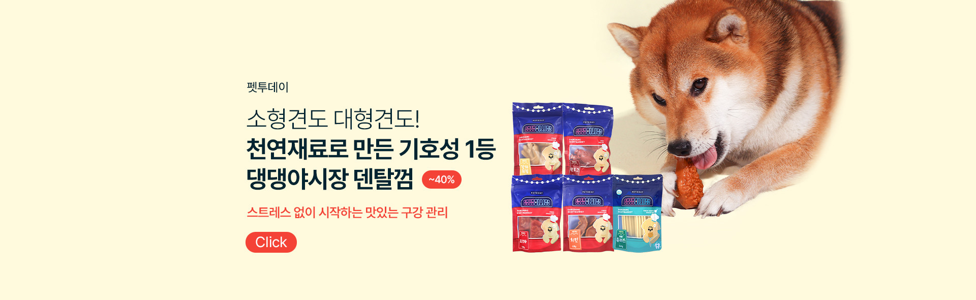 메인배너 이미지