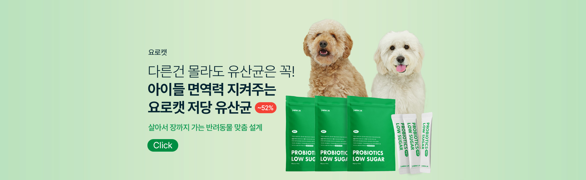 메인배너 이미지