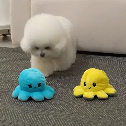 베스트장난감01