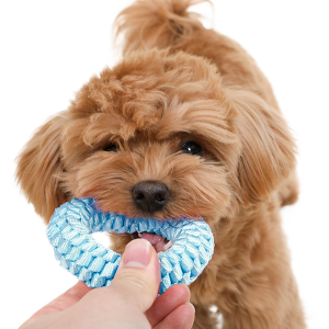 베스트장난감06