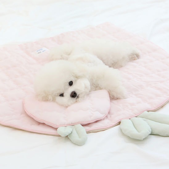 베스트하우스20